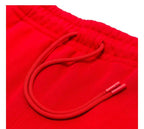Jordan Fleece Shorts