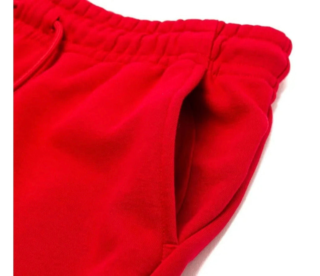 Jordan Fleece Shorts